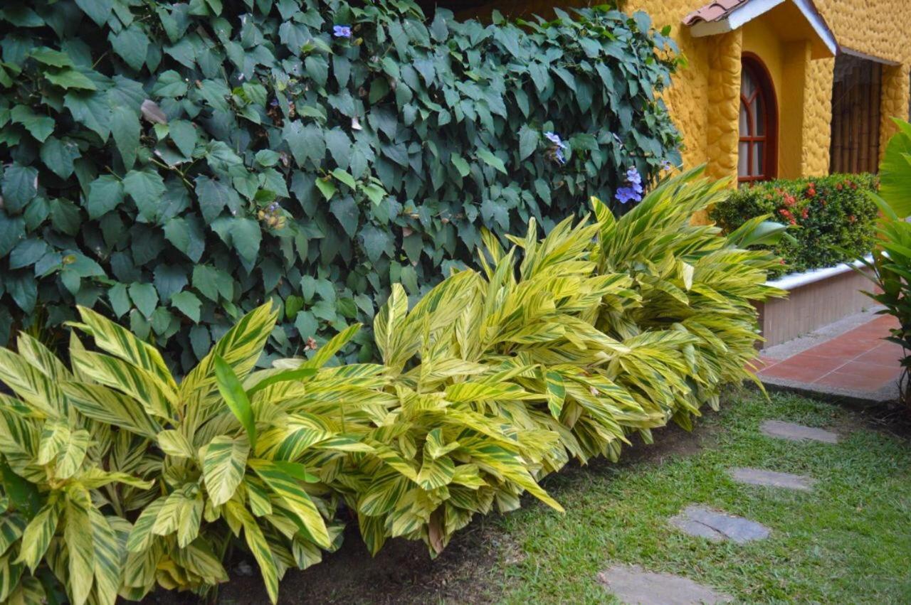 Eco Hostal Kuima Эль-Саино Экстерьер фото